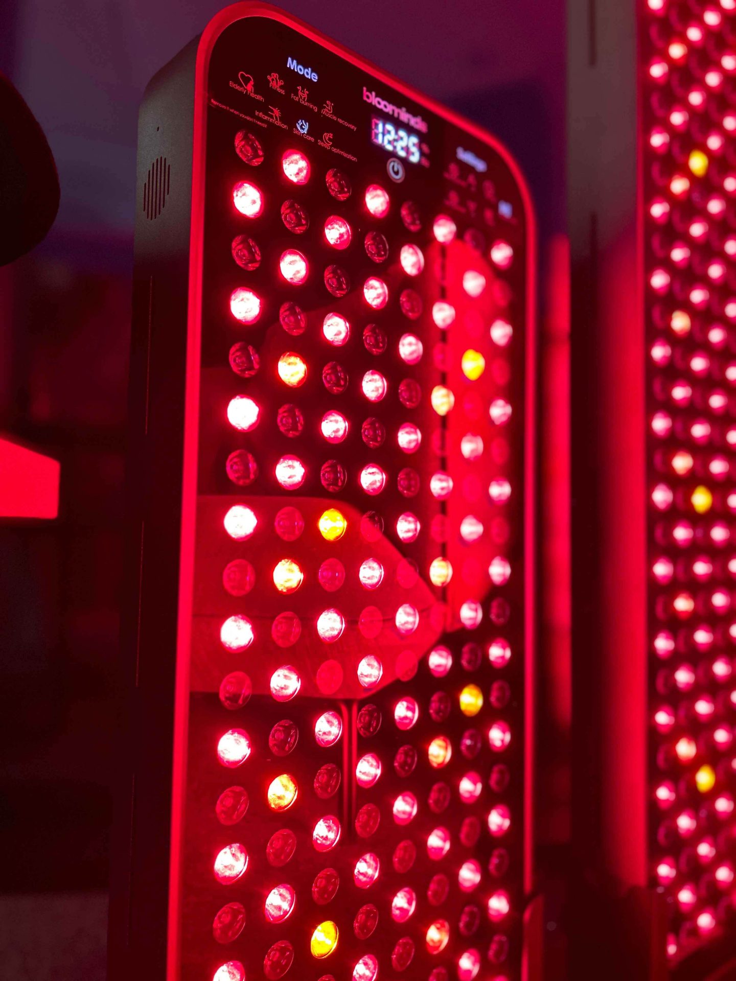 338-2_bloominds-glow-vel-l