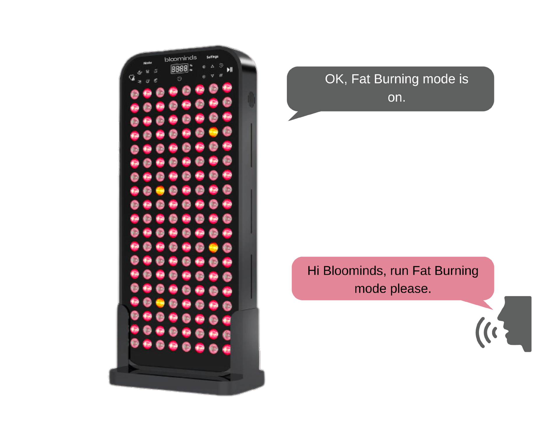 338-4_bloominds-glow-vel-l