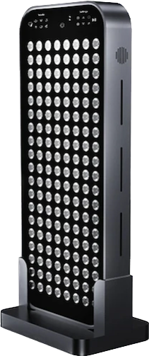 338_8db30214-2739-497c-9636-3028b3440823