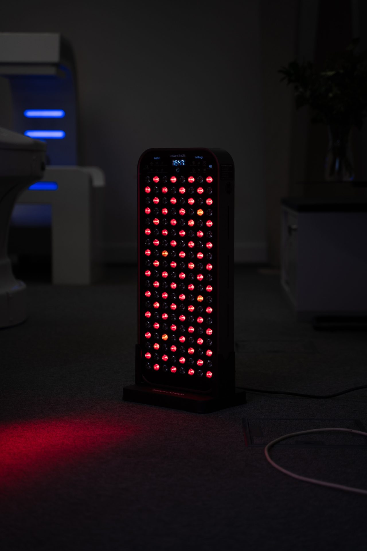 338_bloominds-glow-vel-l