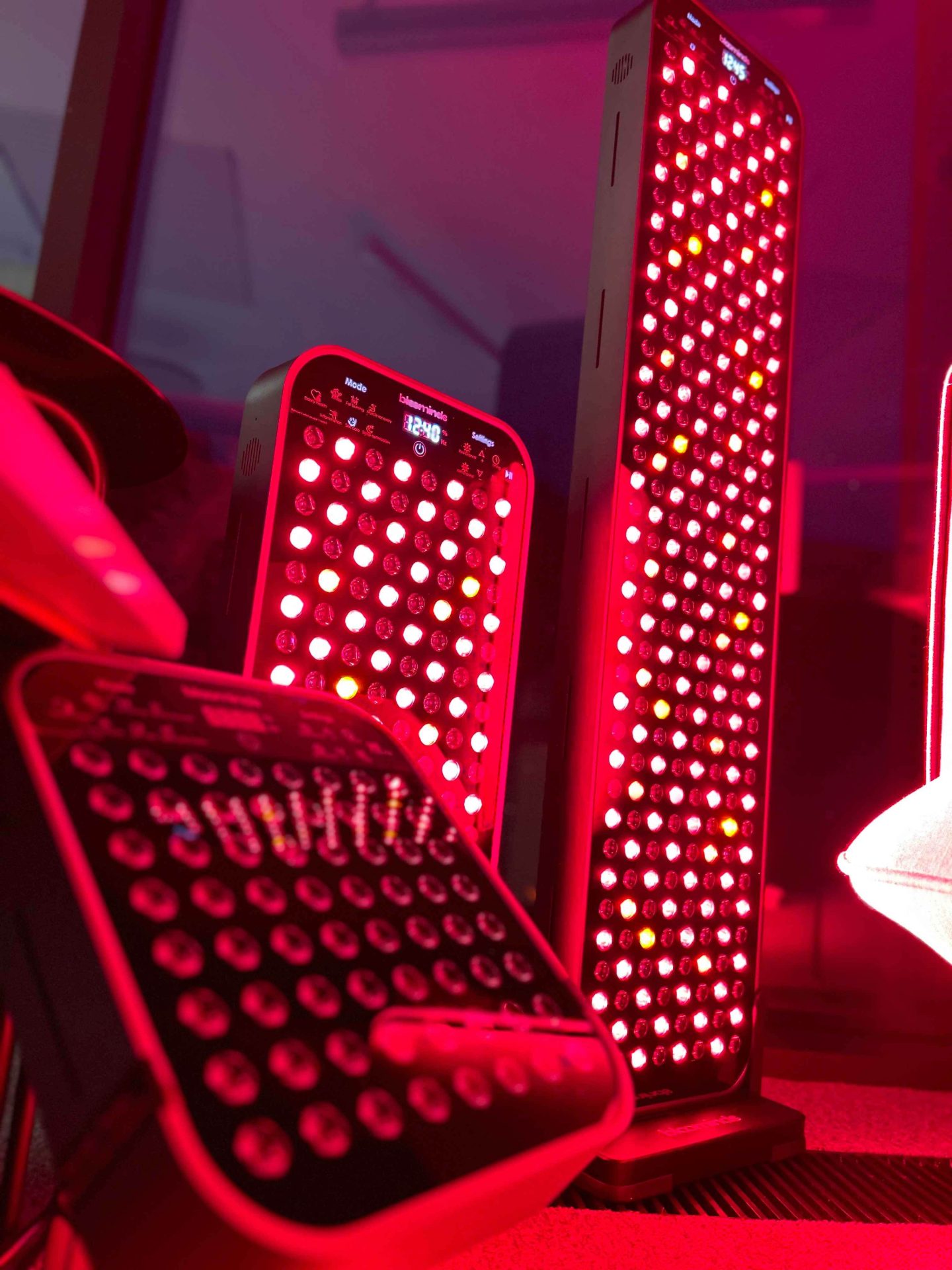 392-1_bloominds-glow-vel-l