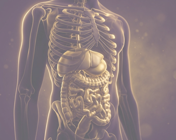 ANF Therapy® DIGEST WELL